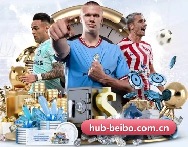 hub-beibo.com.cn的故事